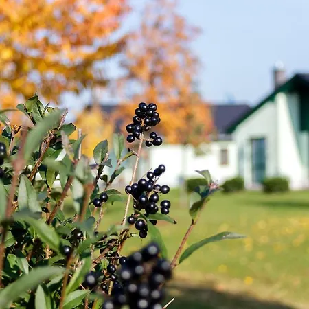 Apartamento Seepark Auenhain *