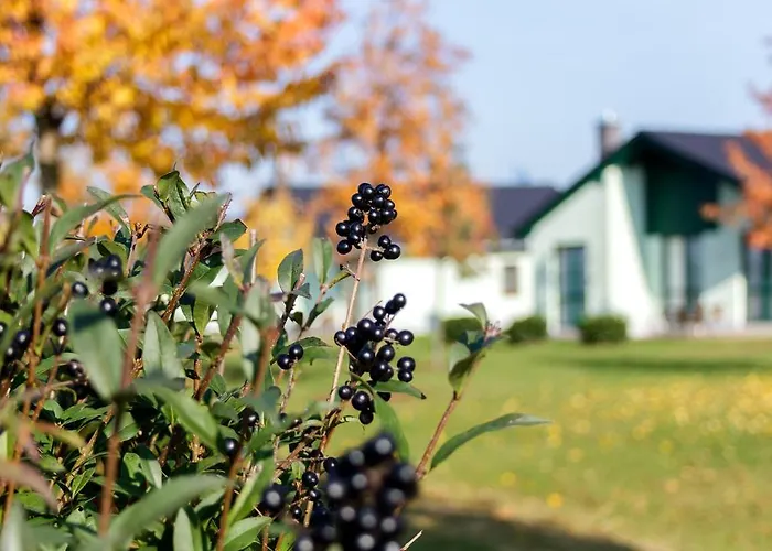 Apartment Seepark Auenhain *